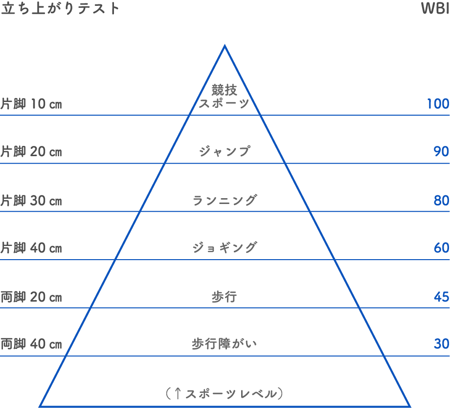 筋力測定と体重支持指数(WBI)の相関